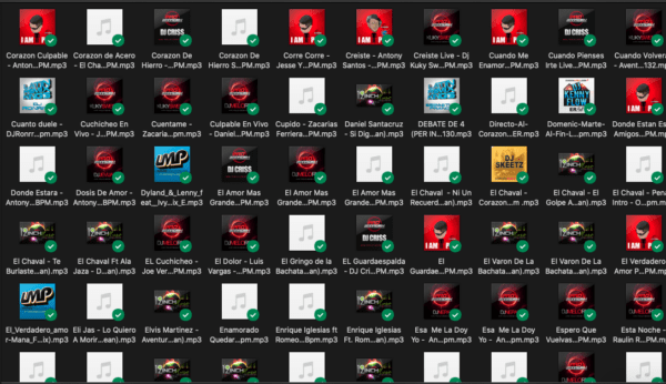 COLLECCION VOL.1 BACHATA ESSENTIALS 90'S 2K'S - 320 TRACKS - Imagen 2