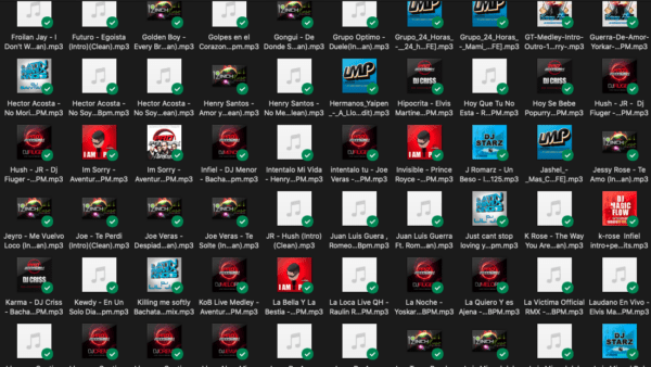 COLLECCION VOL.1 BACHATA ESSENTIALS 90'S 2K'S - 320 TRACKS - Imagen 4