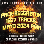 PACK REGGAETON 1237 TRACKS MAYO 2024 PMR-
