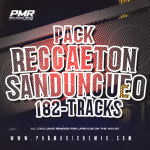 REGGAETON SANDUNGUEO